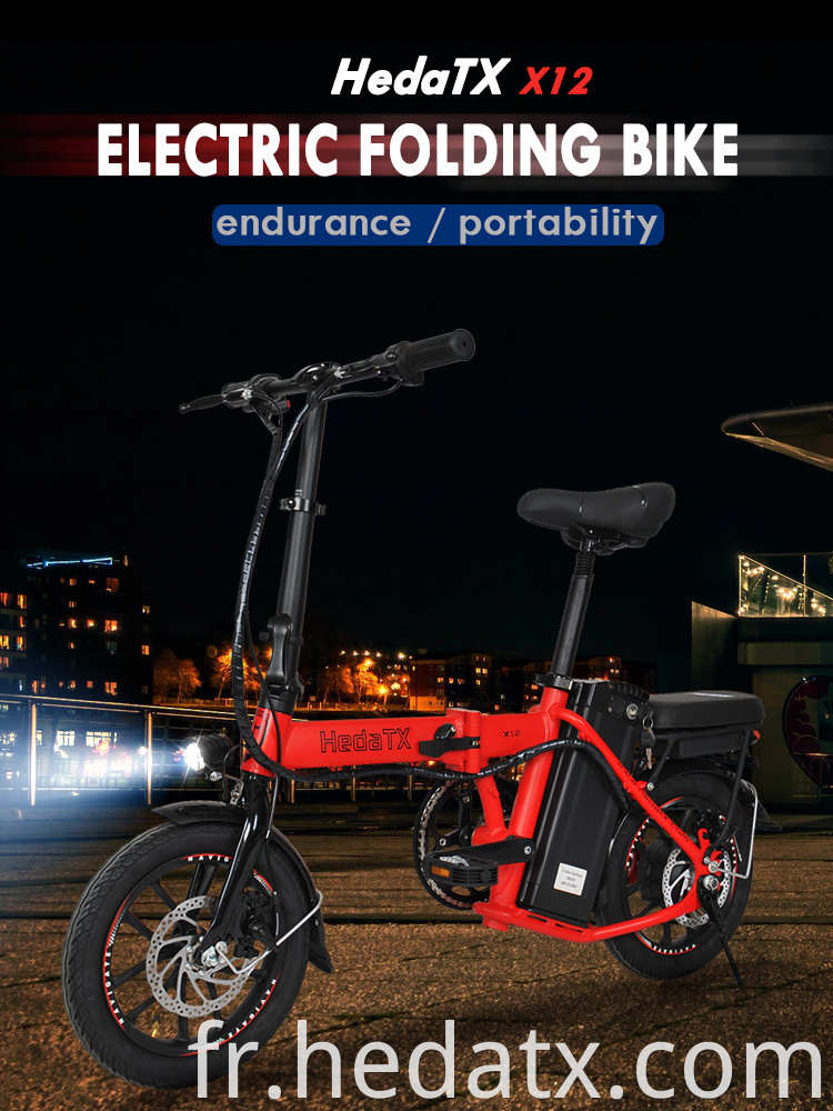 Electric Folding Bike